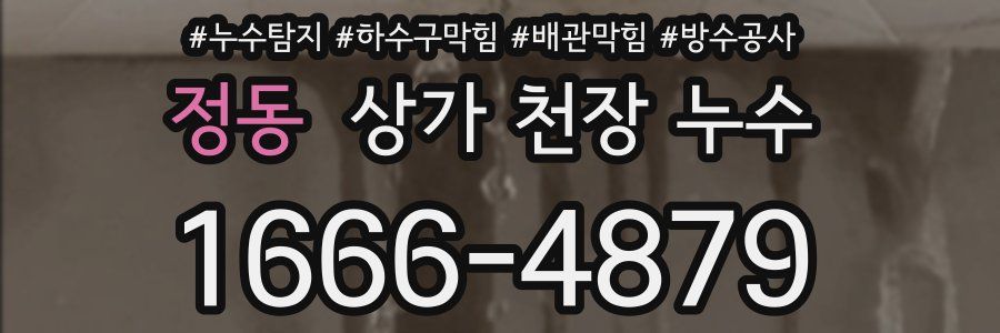 정동 상가 천장 누수