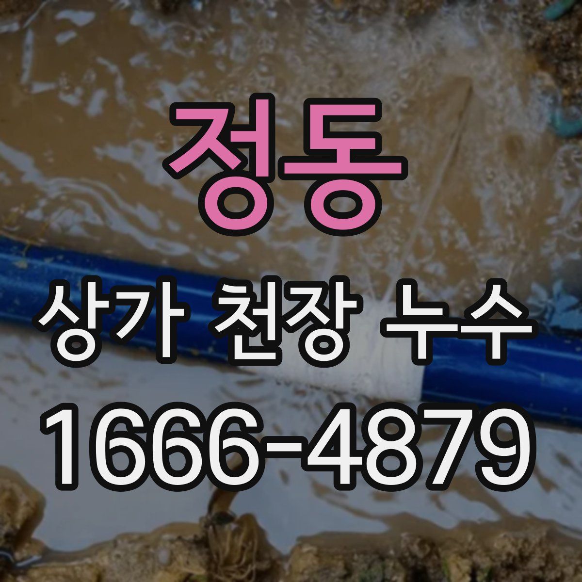 정동 상가 천장 누수