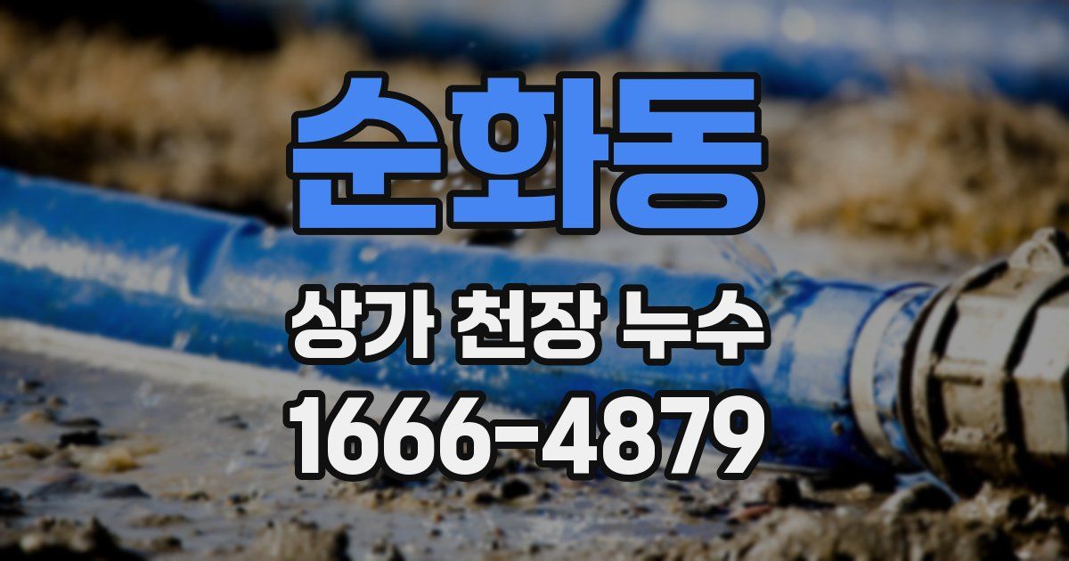 순화동 상가 천장 누수
