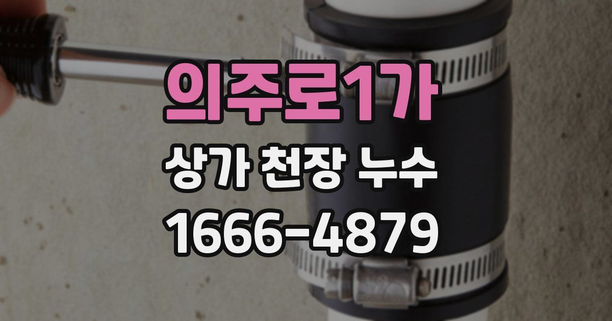 의주로1가 상가 천장 누수
