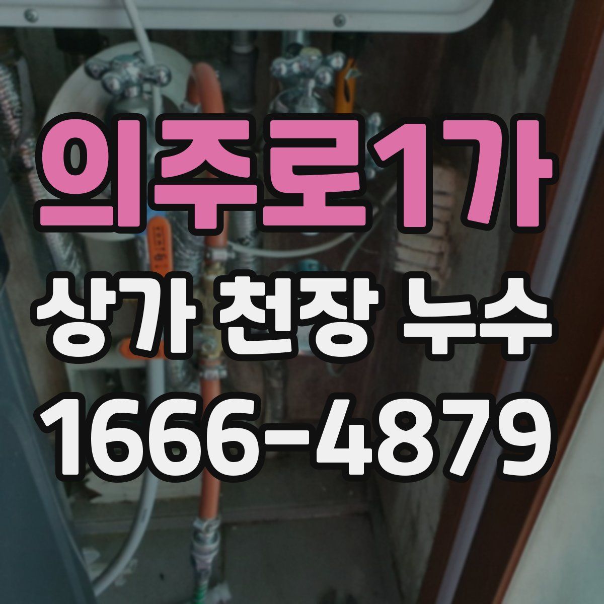 의주로1가 상가 천장 누수