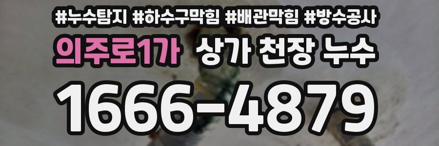 의주로1가 상가 천장 누수