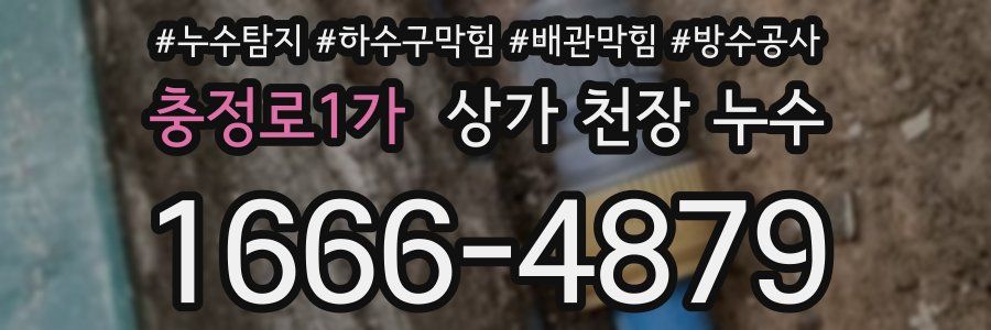 충정로1가 상가 천장 누수