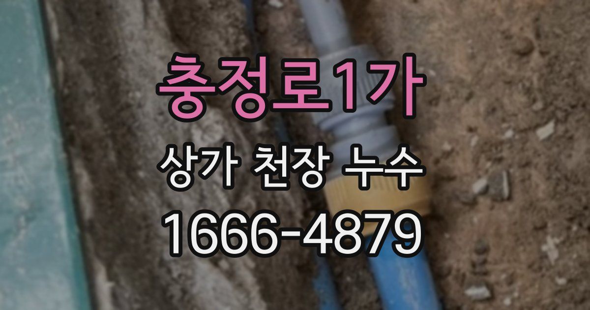 충정로1가 상가 천장 누수