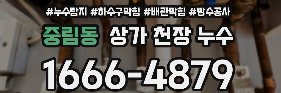 중림동 상가 천장 누수
