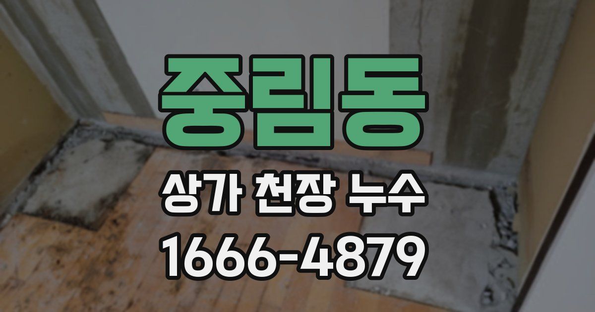 중림동 상가 천장 누수