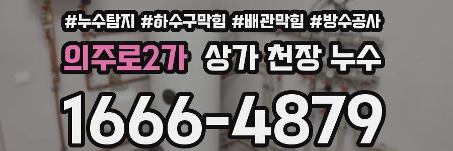 의주로2가 상가 천장 누수