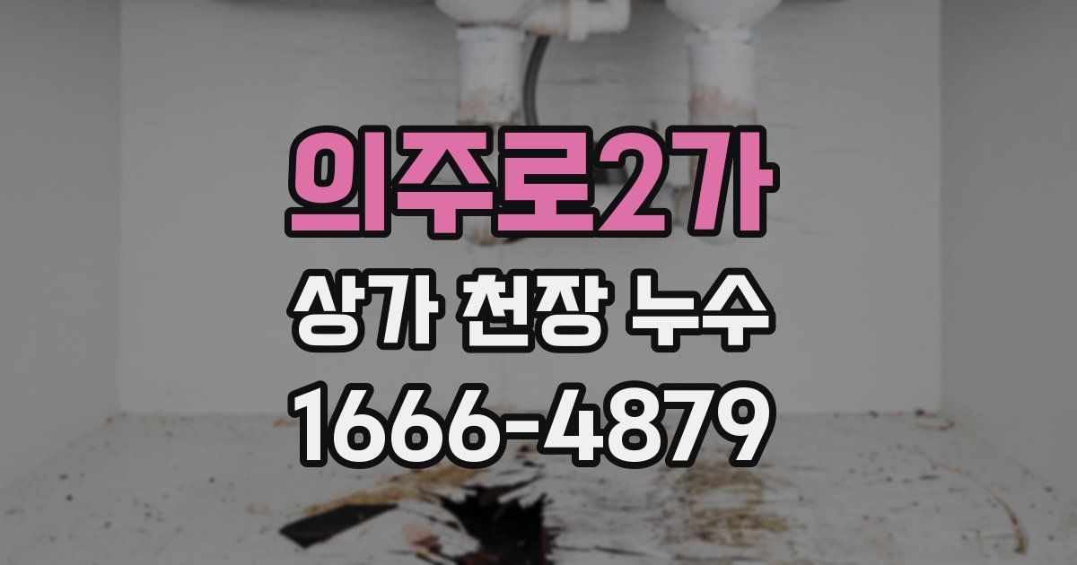 의주로2가 상가 천장 누수