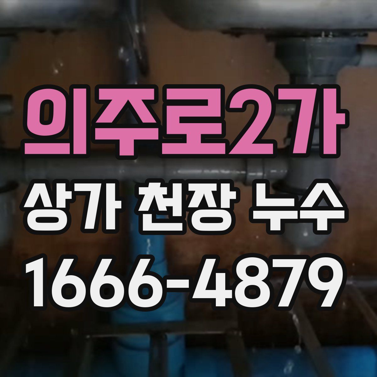 의주로2가 상가 천장 누수