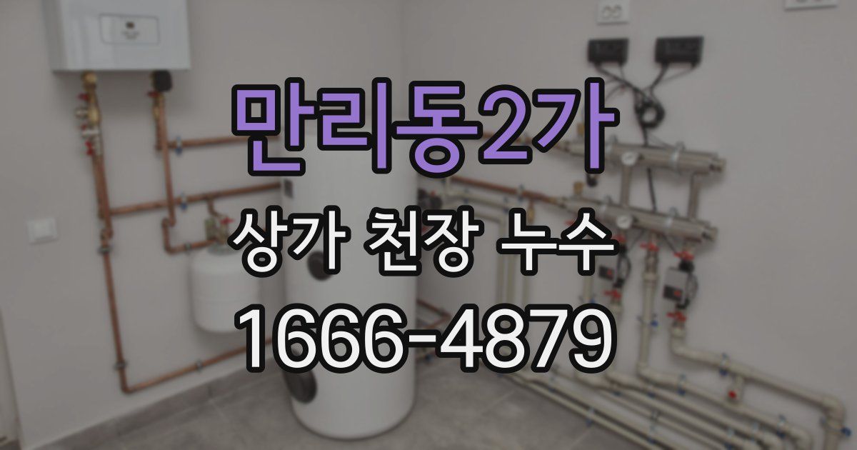 만리동2가 상가 천장 누수
