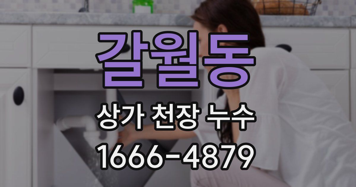 갈월동 상가 천장 누수