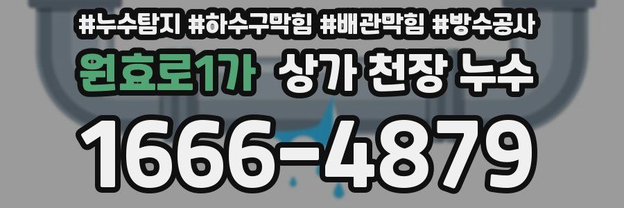 원효로1가 상가 천장 누수