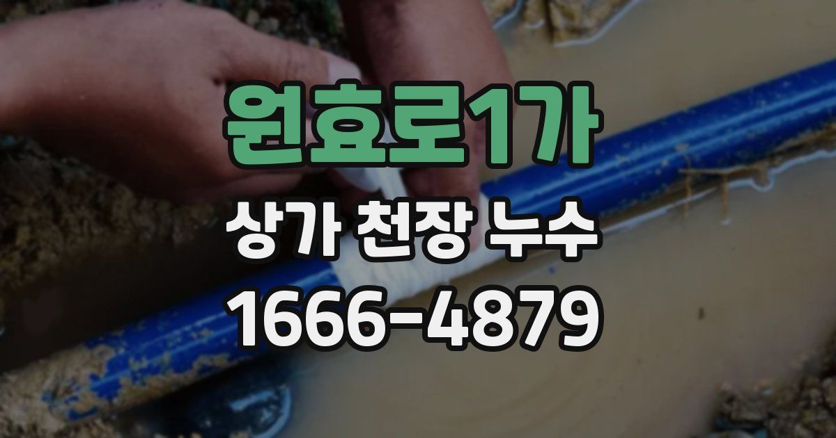 원효로1가 상가 천장 누수