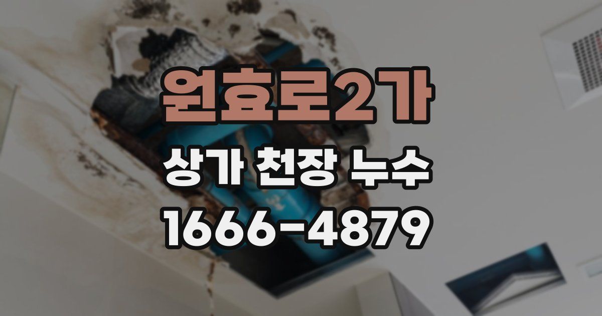 원효로2가 상가 천장 누수