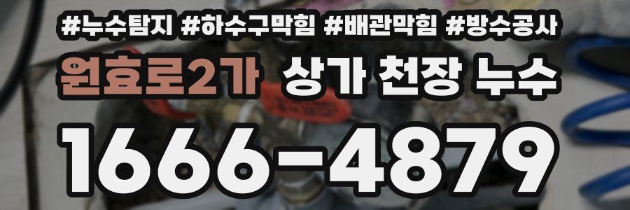 원효로2가 상가 천장 누수