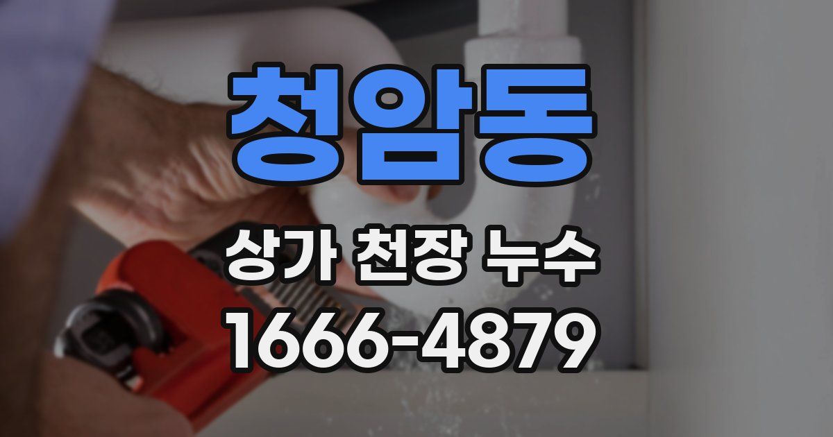 청암동 상가 천장 누수