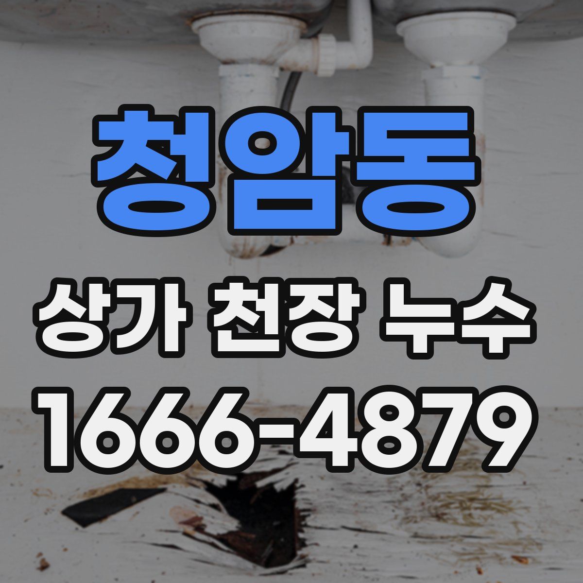 청암동 상가 천장 누수