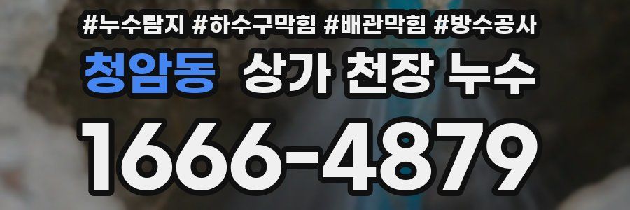 청암동 상가 천장 누수