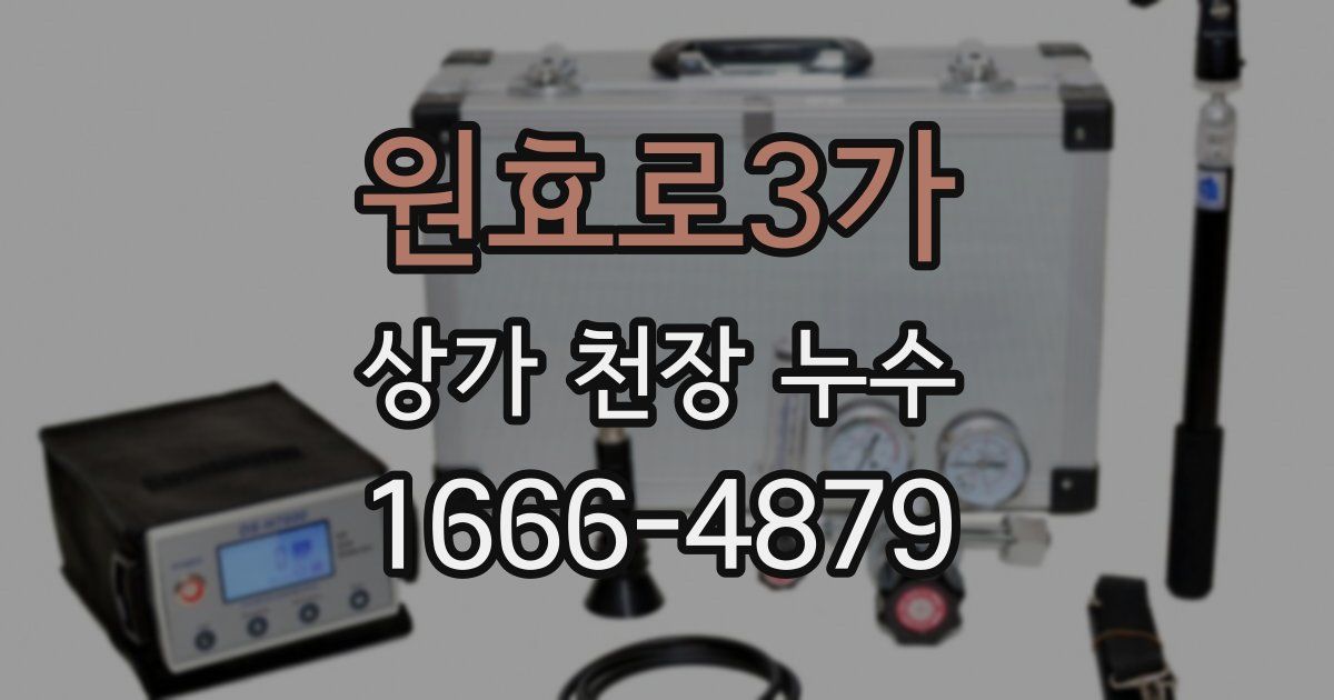원효로3가 상가 천장 누수