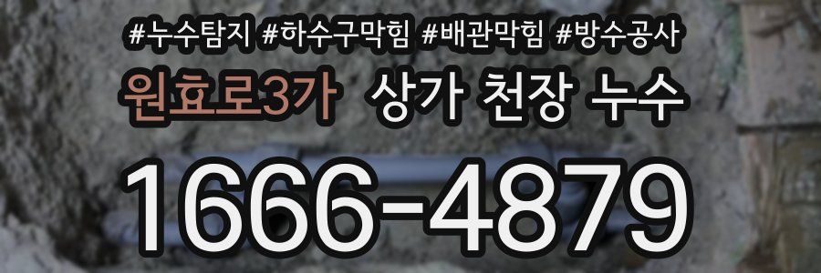 원효로3가 상가 천장 누수