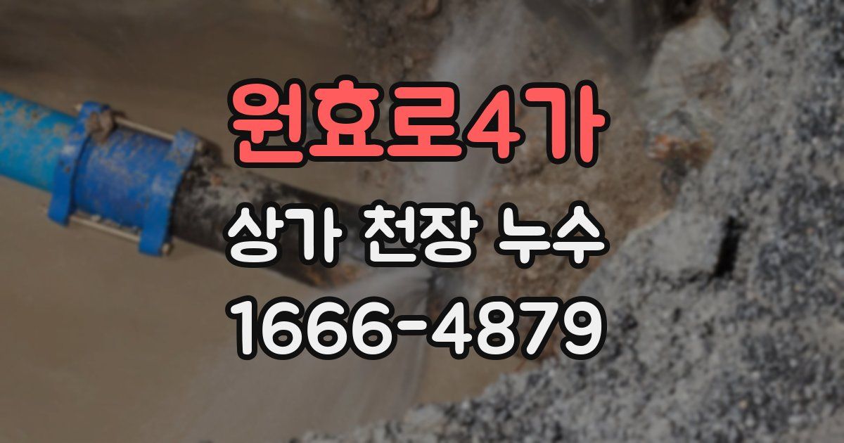 원효로4가 상가 천장 누수