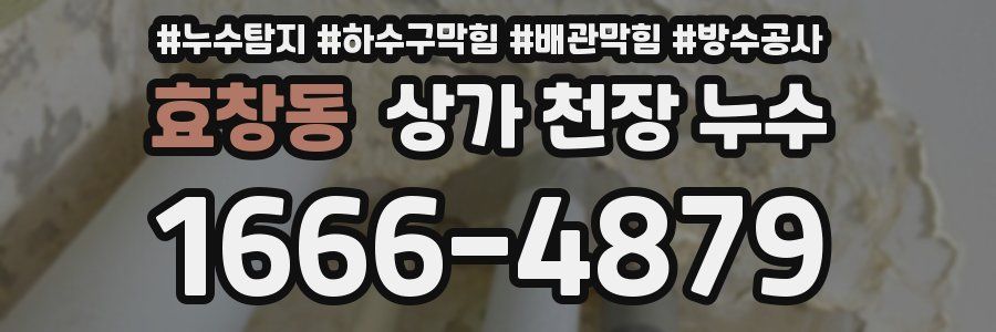 효창동 상가 천장 누수