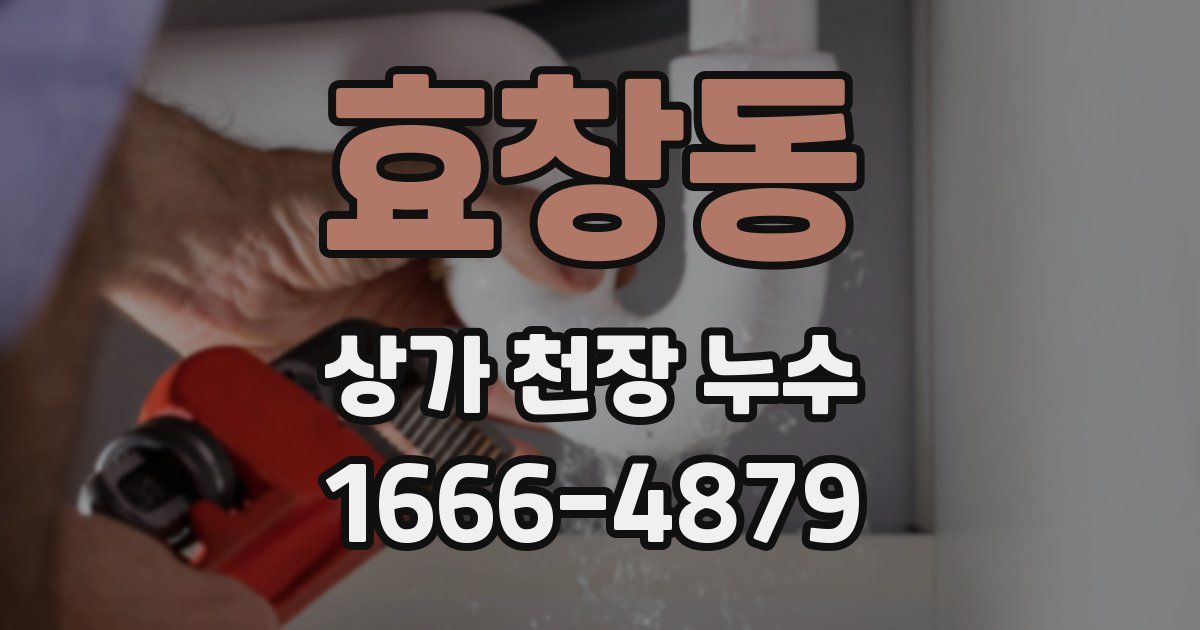 효창동 상가 천장 누수