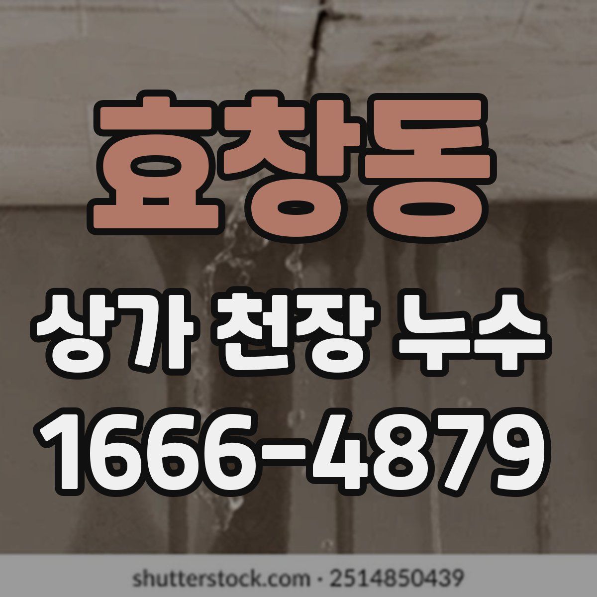 효창동 상가 천장 누수