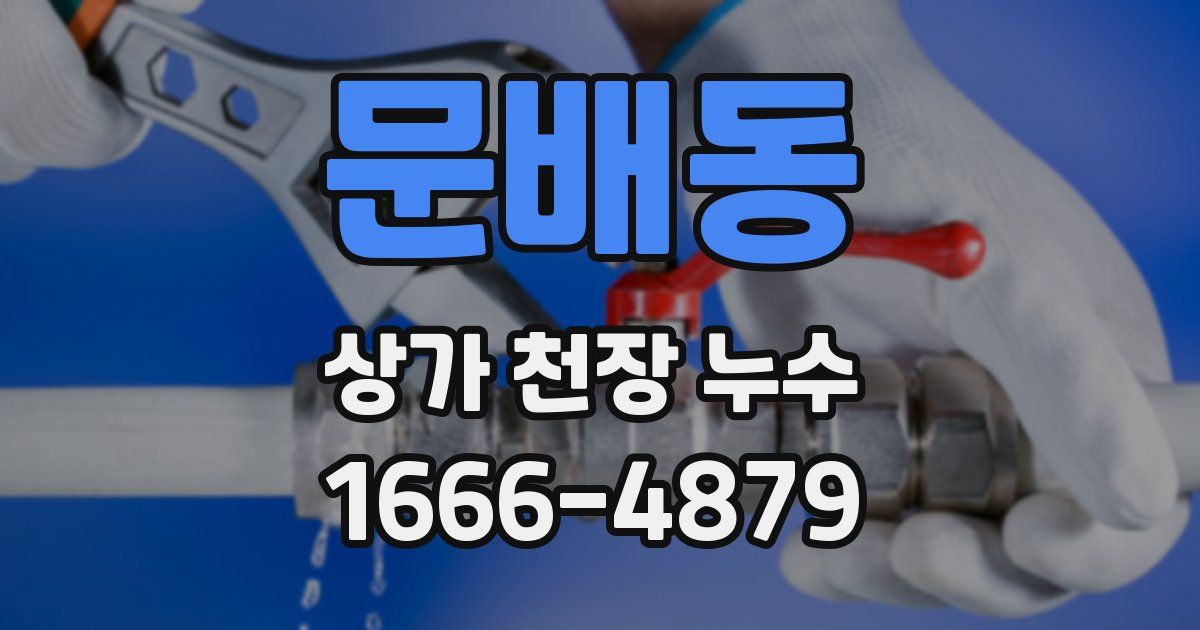 문배동 상가 천장 누수