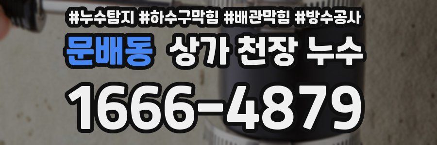 문배동 상가 천장 누수
