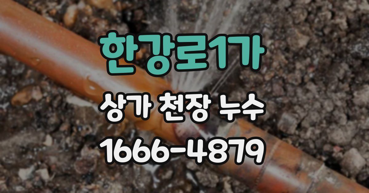 한강로1가 상가 천장 누수