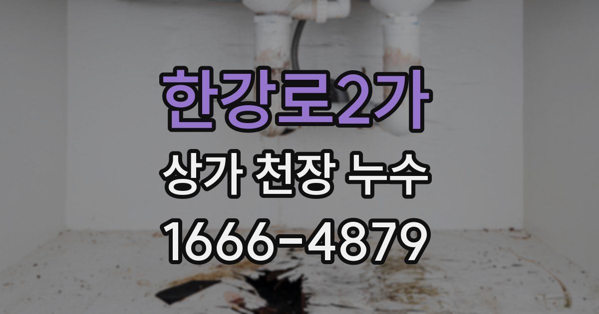 한강로2가 상가 천장 누수