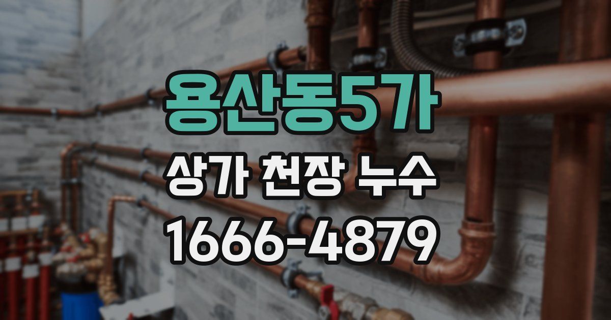 용산동5가 상가 천장 누수