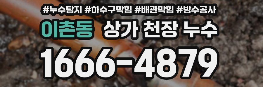 이촌동 상가 천장 누수
