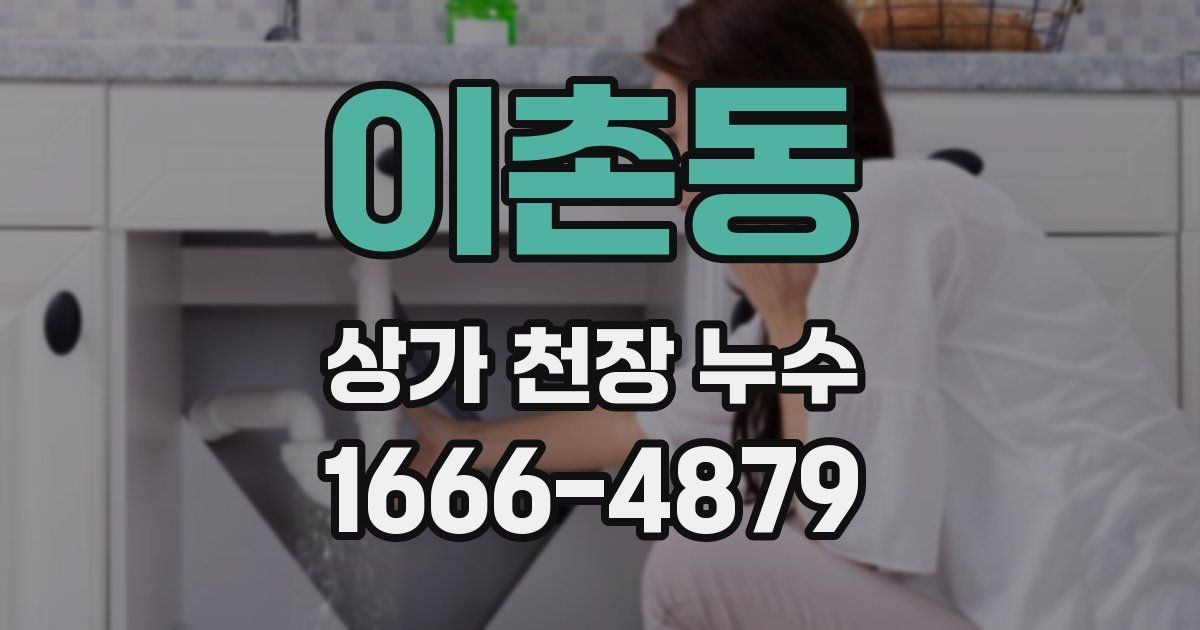 이촌동 상가 천장 누수