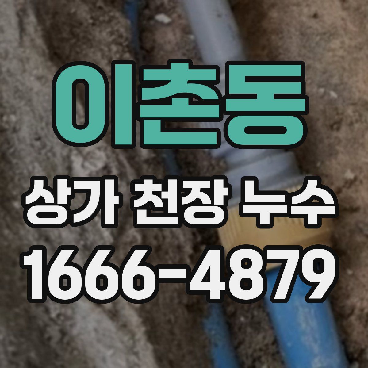 이촌동 상가 천장 누수