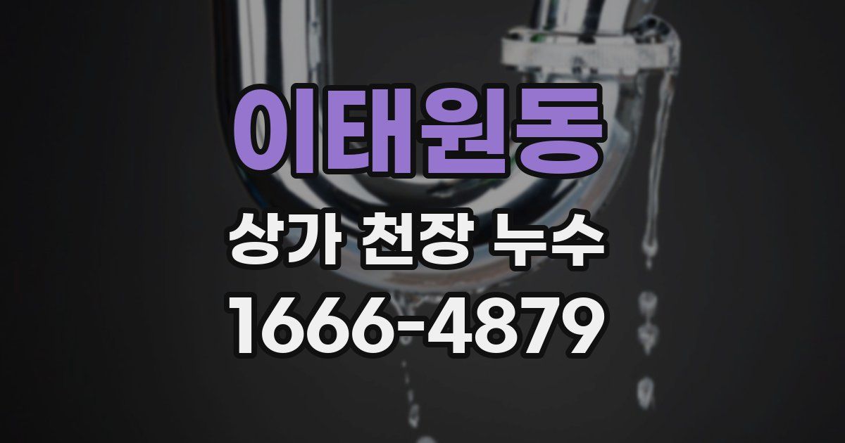 이태원동 상가 천장 누수