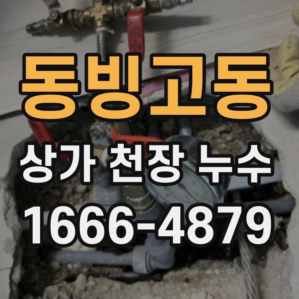 동빙고동 상가 천장 누수