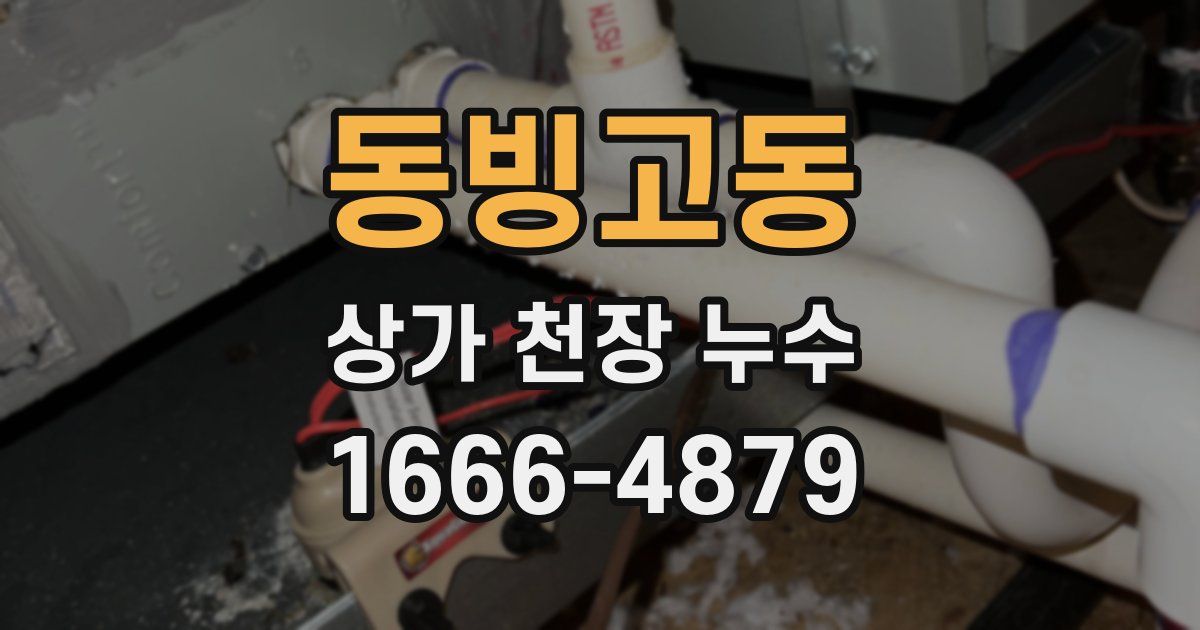 동빙고동 상가 천장 누수