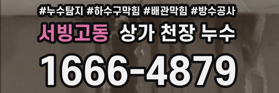 서빙고동 상가 천장 누수