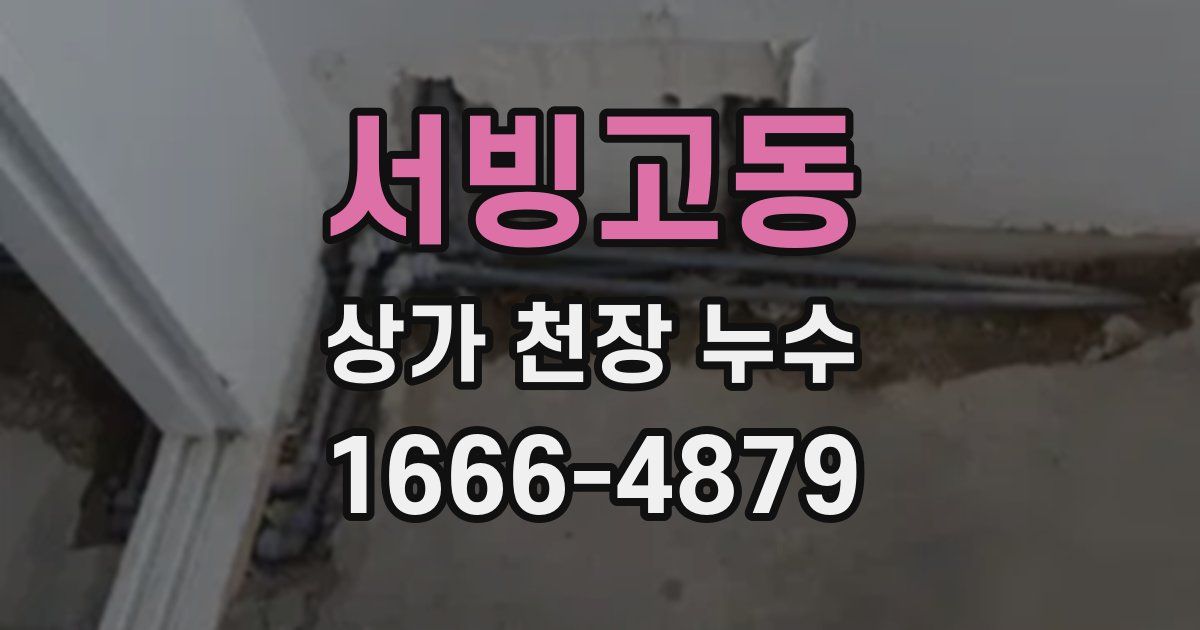 서빙고동 상가 천장 누수