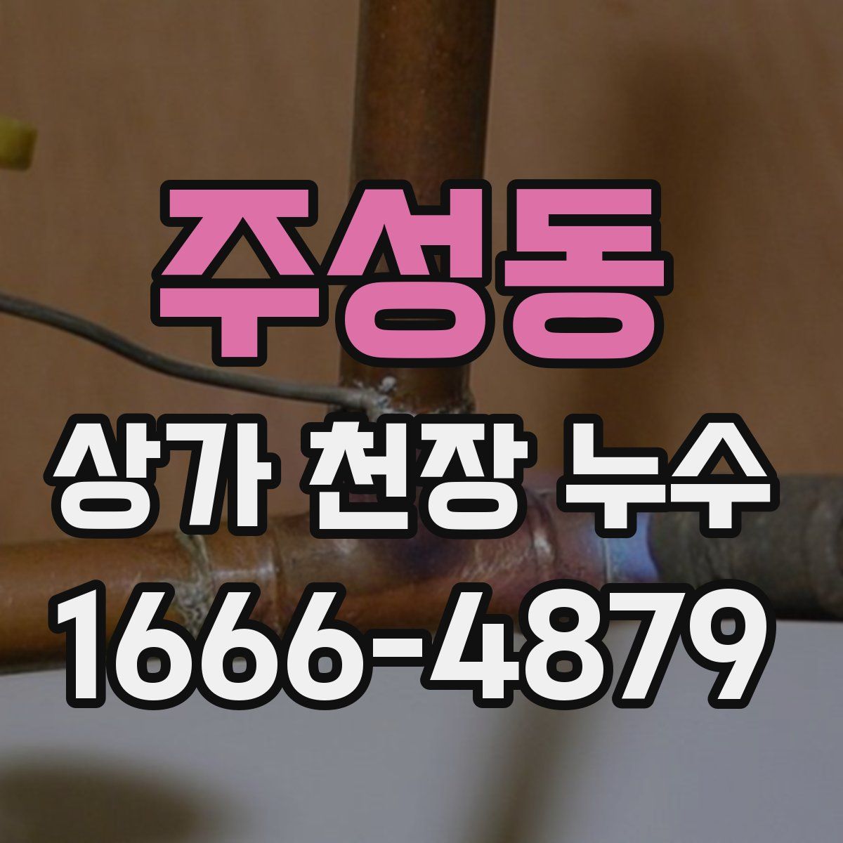 주성동 상가 천장 누수