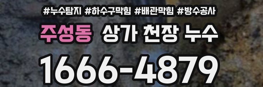 주성동 상가 천장 누수