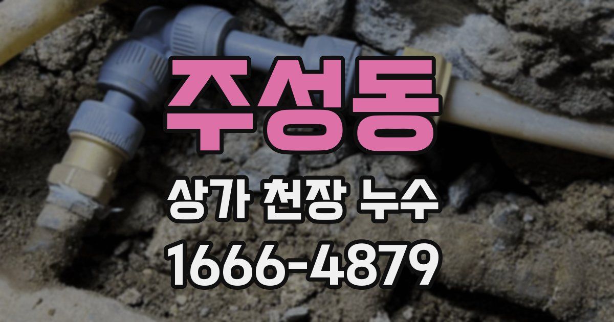 주성동 상가 천장 누수