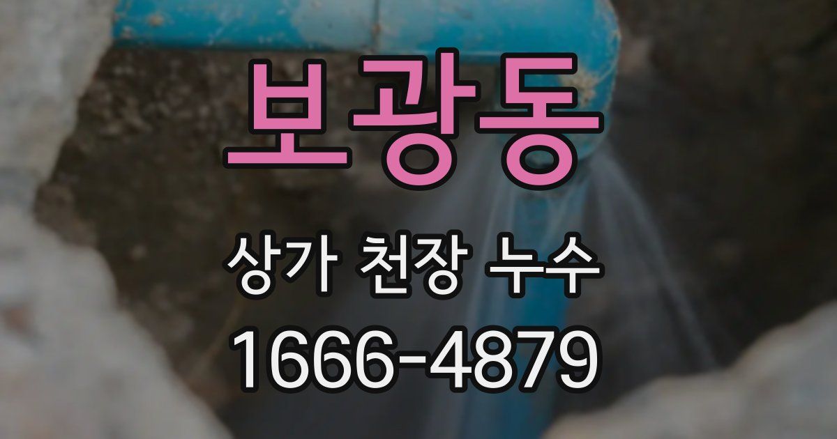 보광동 상가 천장 누수