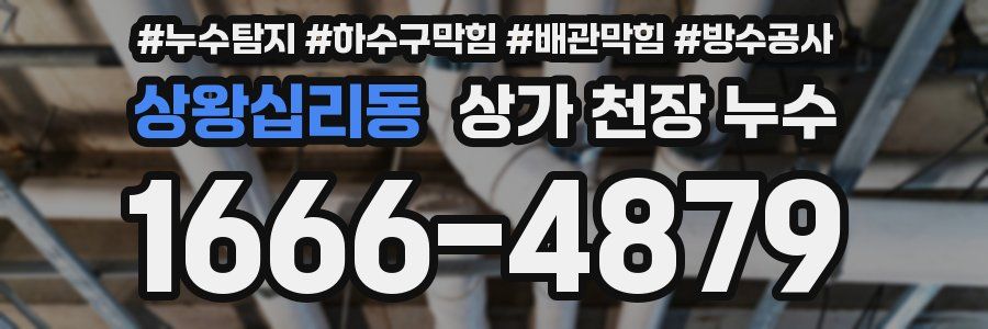 상왕십리동 상가 천장 누수