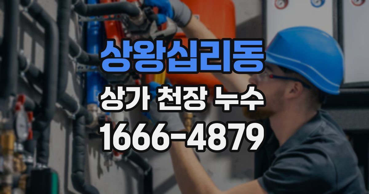 상왕십리동 상가 천장 누수
