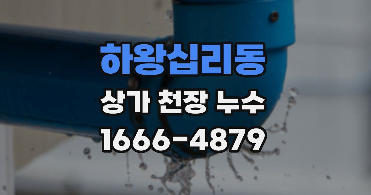하왕십리동 상가 천장 누수