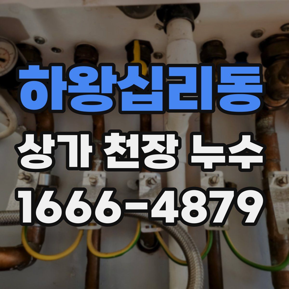 하왕십리동 상가 천장 누수