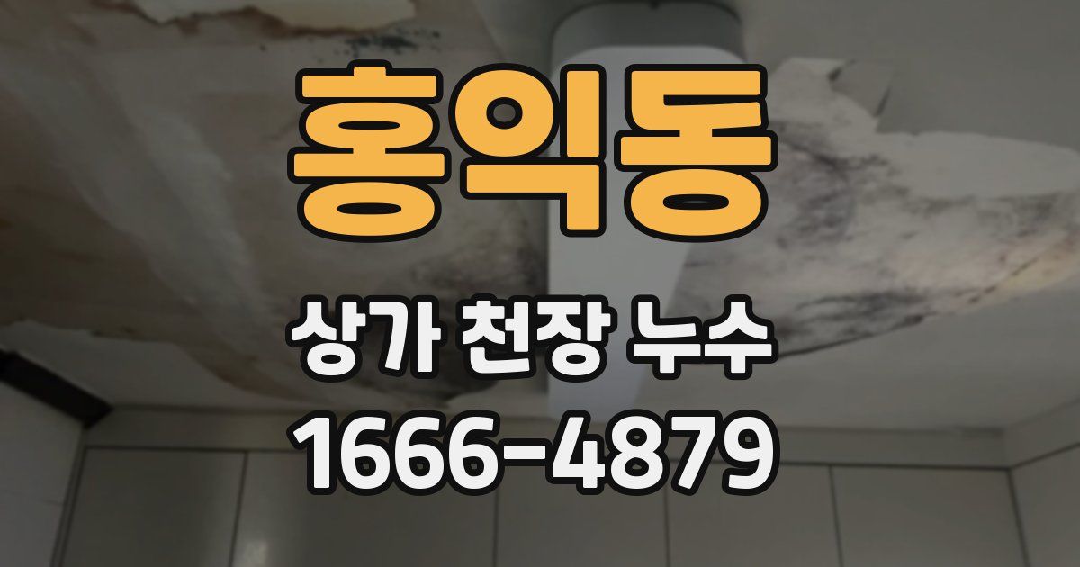 홍익동 상가 천장 누수